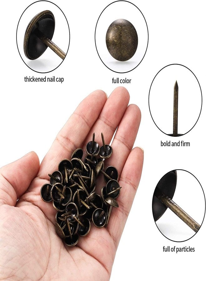 QZIBEVA Pack 50 Antique Upholstery 14 mm Decorative Furniture Sofa Thumb Tacks Nails Pins CODE-STUDS-005 - Image 2